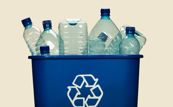 Plastic bottles in blue recycle bin Plastic bottles in blue recycle bin