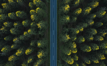 Photo from above of forest with road going through it