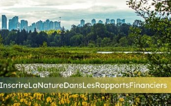 Natural assets cityscape FR Une ville avec un lac et des arbres
