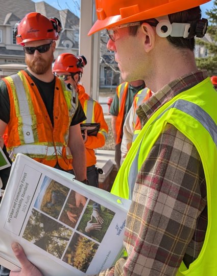 Assessment team reviewing urban forestry guidelines during a site visit.