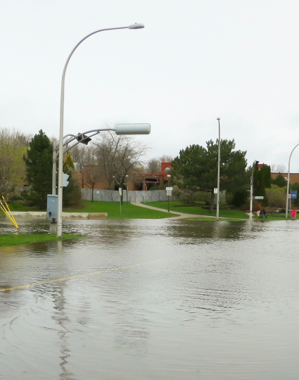 Flooded street in Montréal