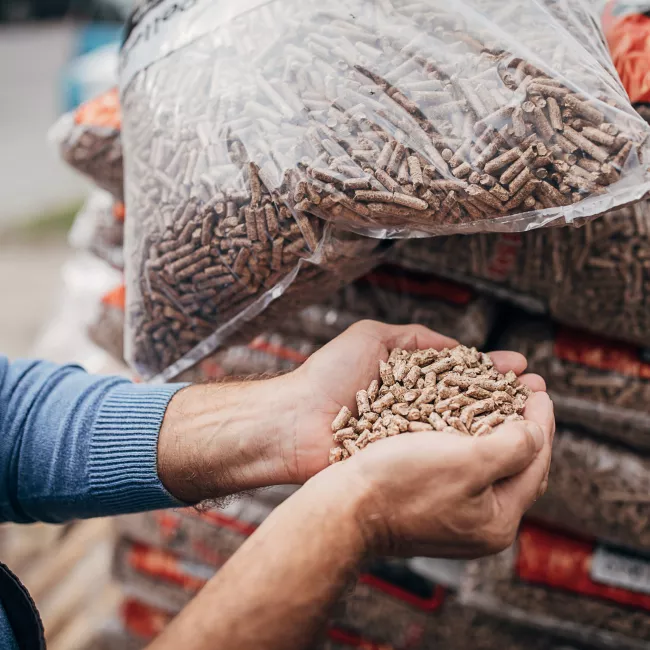 hands filled with biomass pellets next to a clear bag of pellets