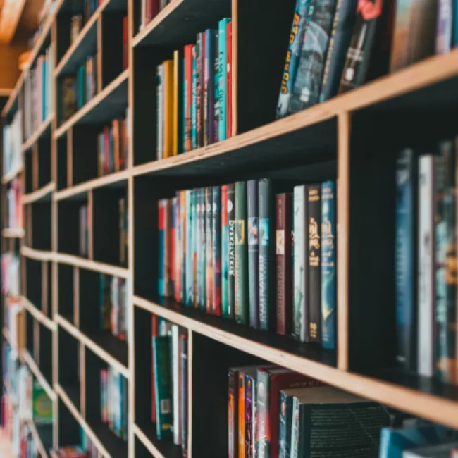 Library shelves with books