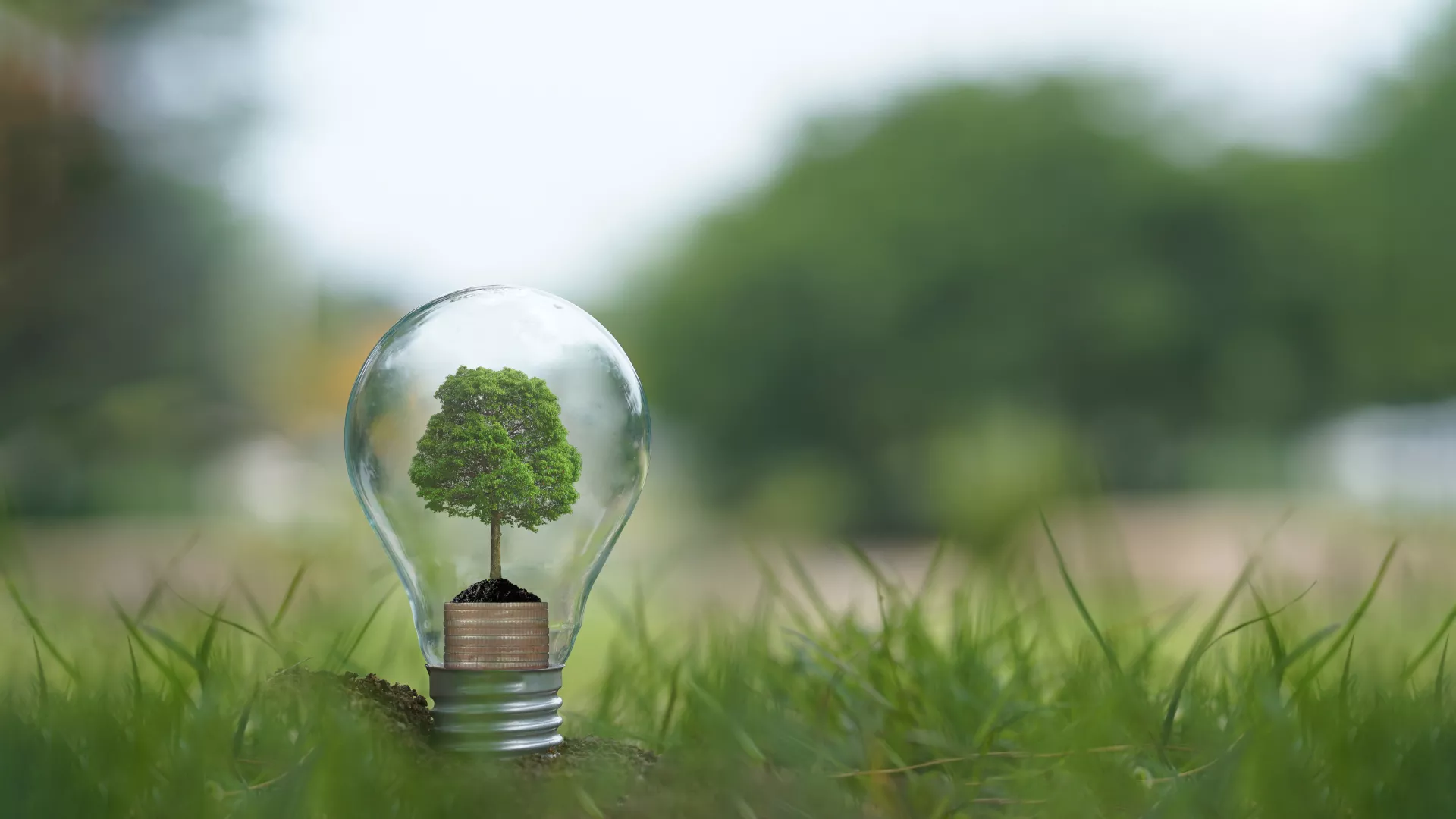 Tree in lightbulb on grass