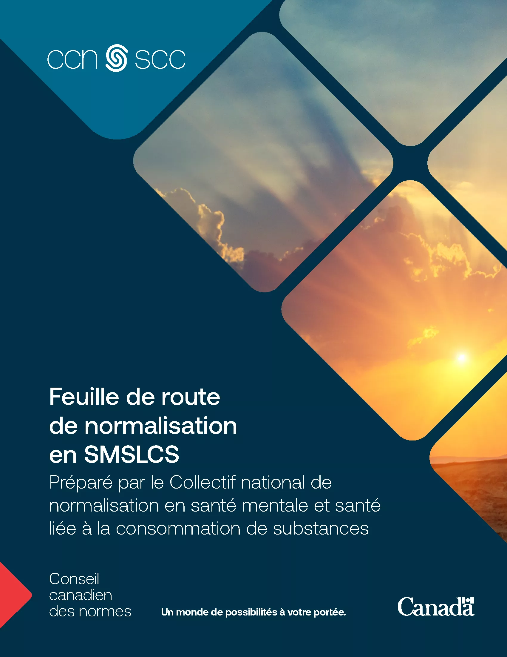 Page de couverture - Feuille de route de normalisation en SMSLCS Préparé par le Collectif national de normalisation en santé mentale et santé liée à la consommation de substances