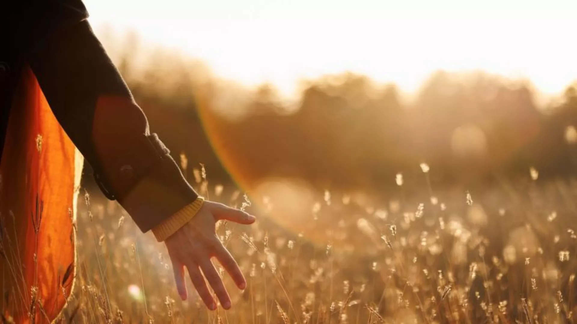 Partial view of a person with outstretched hand walking through a grassy field, with lens flare effect