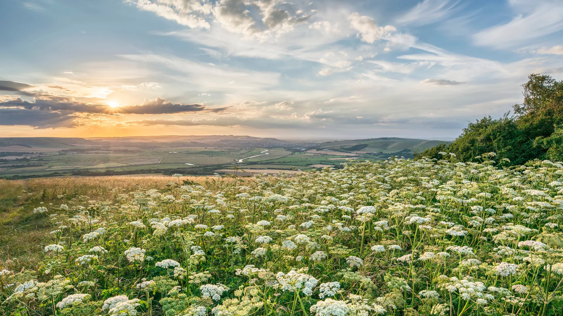 Peaceful meadow and hills