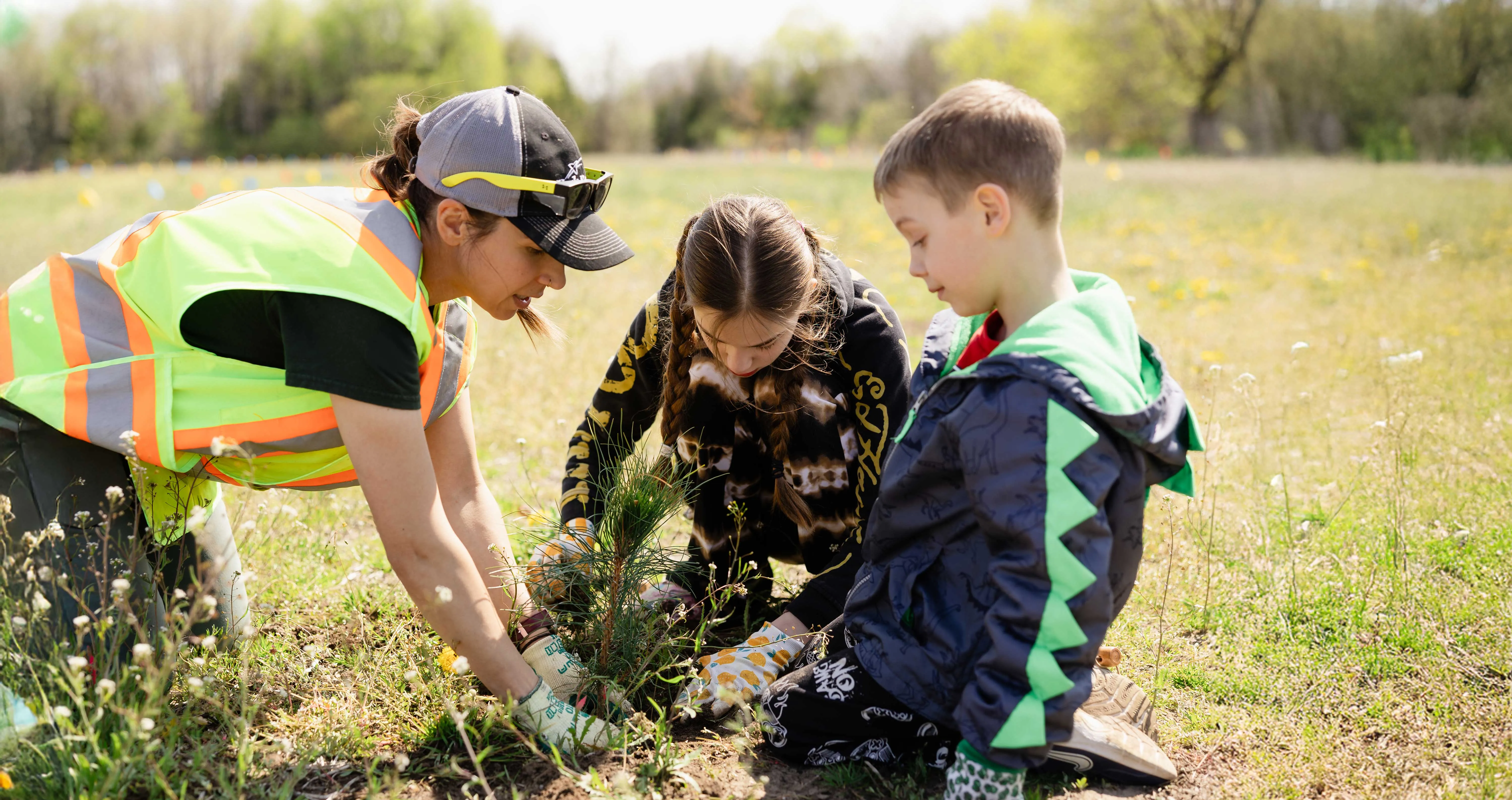 Adult and two children planting a young tree in a grassy field. Adult and two children planting a young tree in a grassy field.